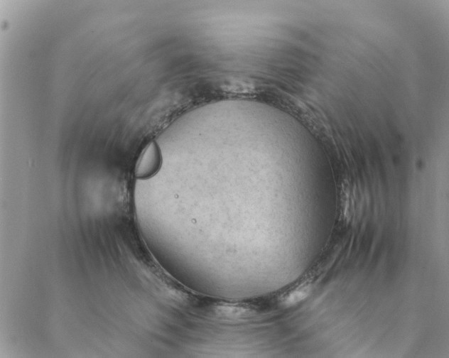 X0000087310614200705041651