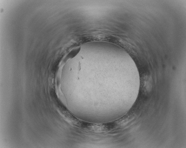 X0000087310615200705041651