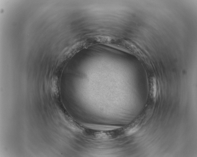 X0000087310616200705041651