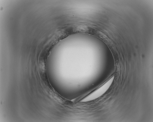 X0000087310617200705041651