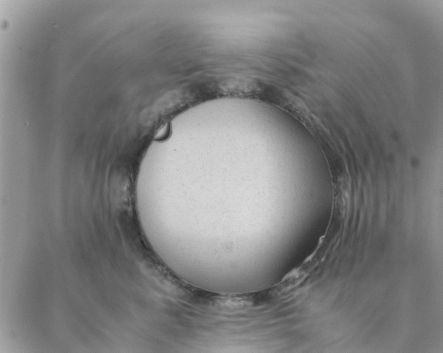 X0000087310619200705041651