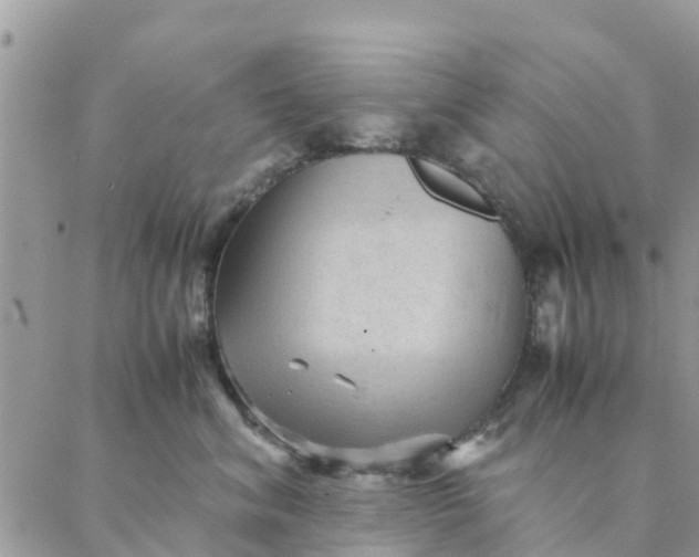 X0000087310620200705041651