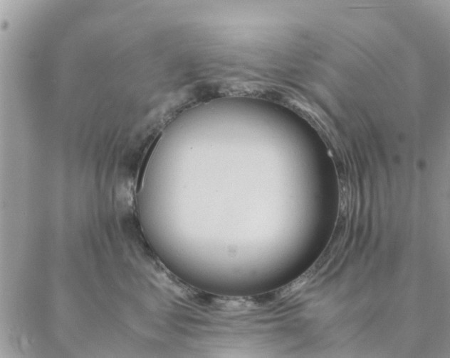 X0000087310621200705041651