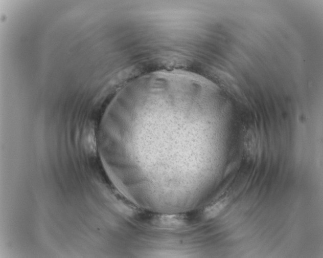 X0000087310622200705041651