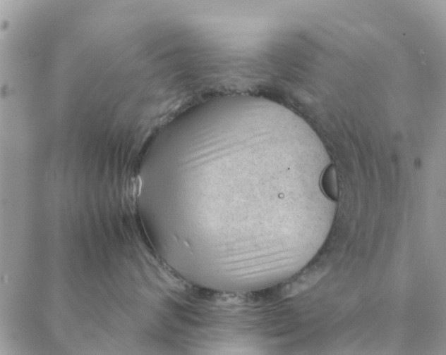 X0000087310624200705041651