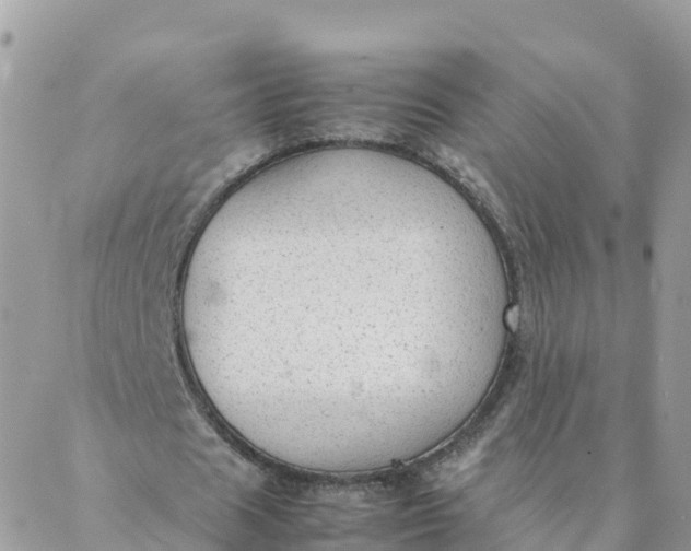 X0000087310625200705041650