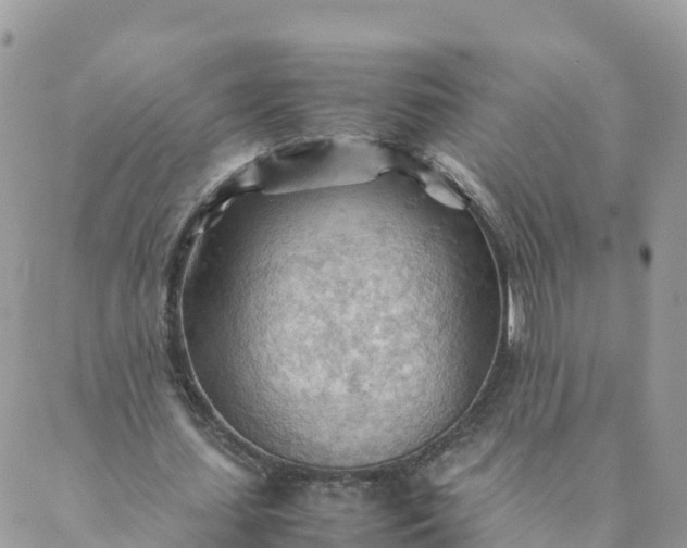 X0000087310627200705041650