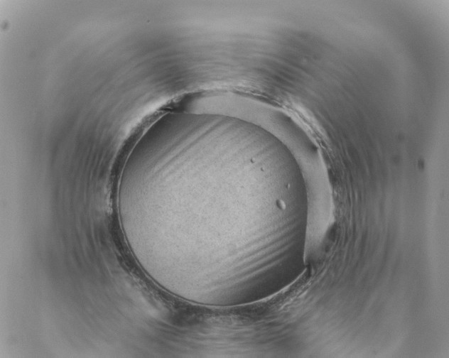 X0000087310628200705041650