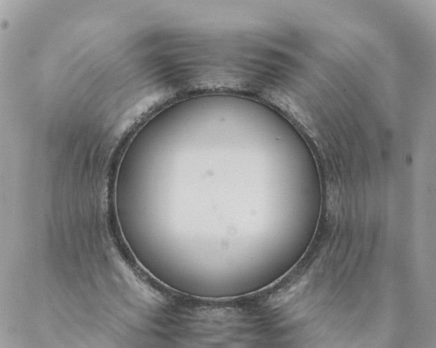 X0000087310629200705041650