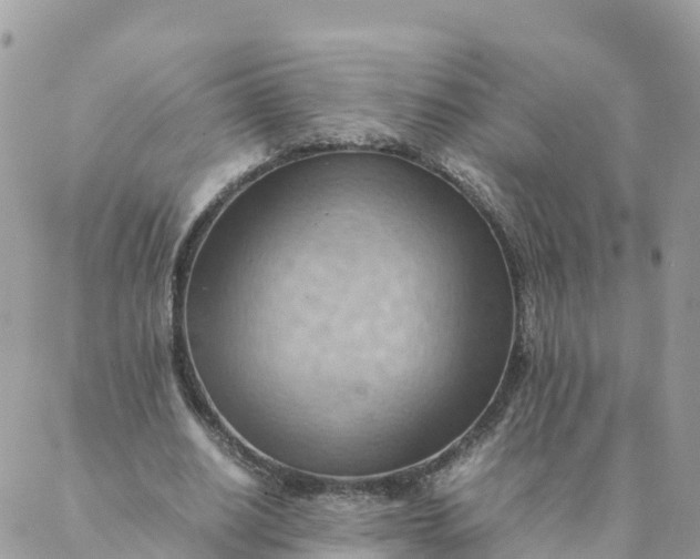 X0000087310630200705041650