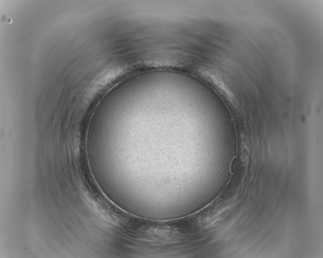 X0000087310631200705041650