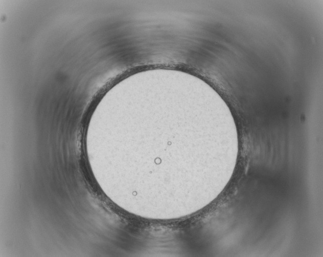 X0000087310632200705041650