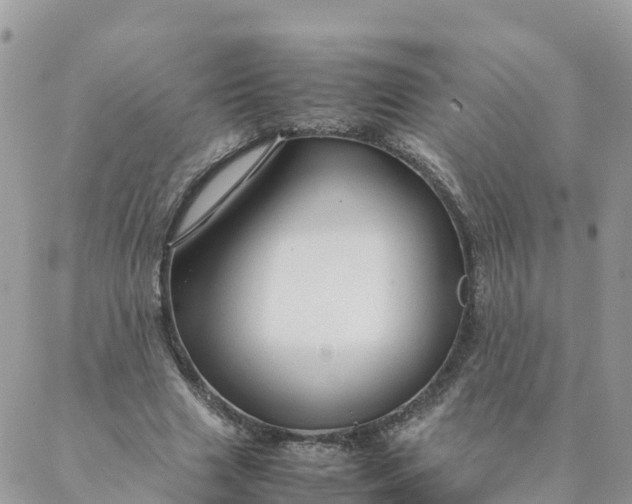 X0000087310633200705041650