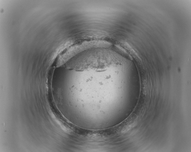 X0000087310634200705041650