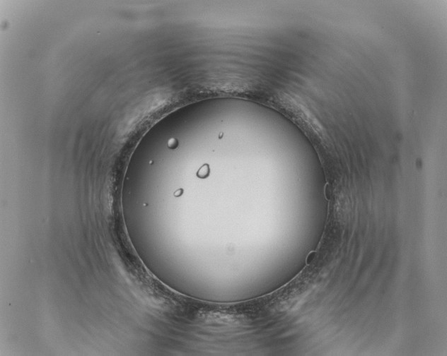 X0000087310635200705041650