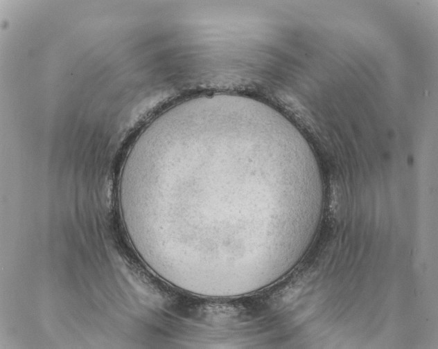 X0000087310636200705041650