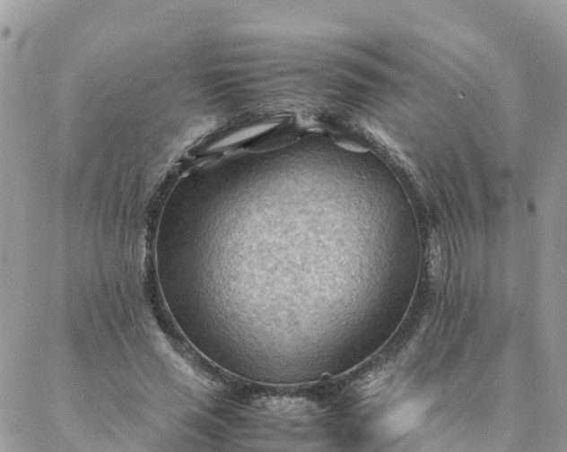 X0000087310637200705041650