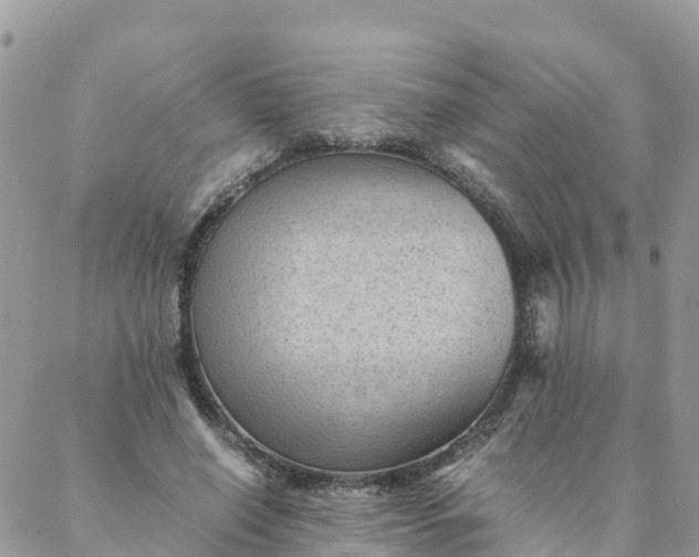 X0000087310638200705041650