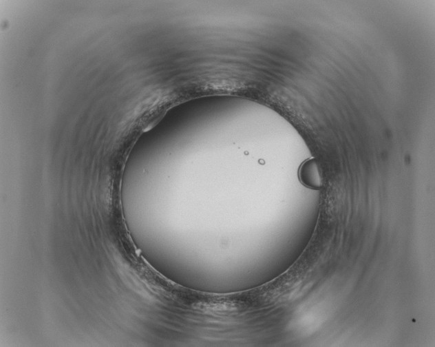 X0000087310639200705041650