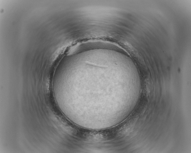 X0000087310640200705041650