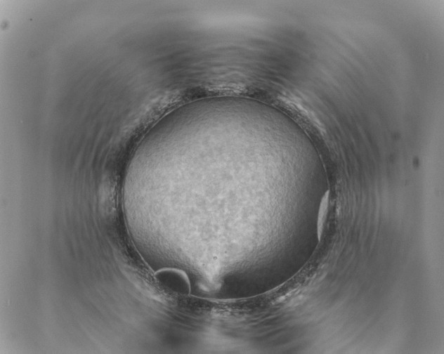 X0000087310641200705041650