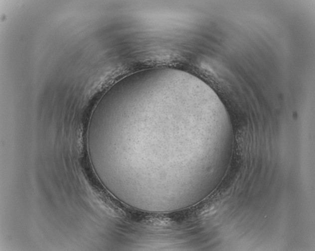 X0000087310642200705041650