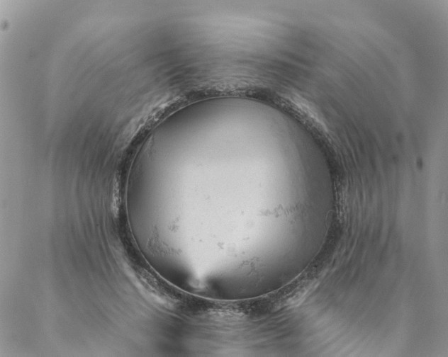 X0000087310644200705041650