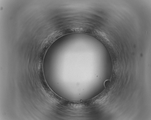 X0000087310645200705041650