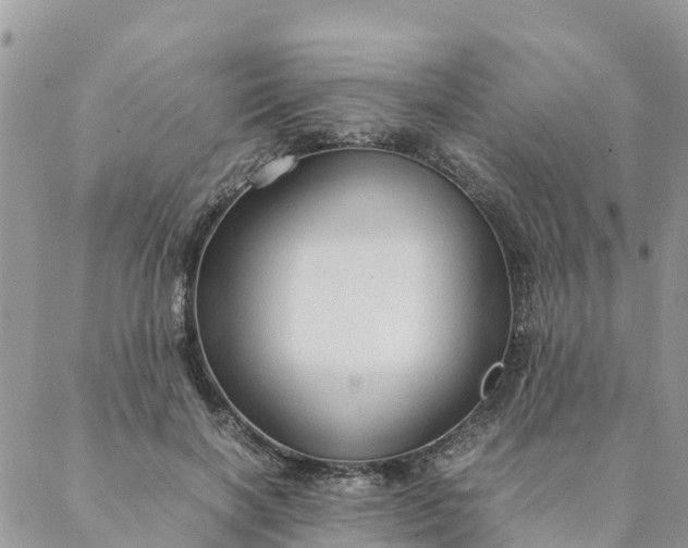 X0000087310646200705041650