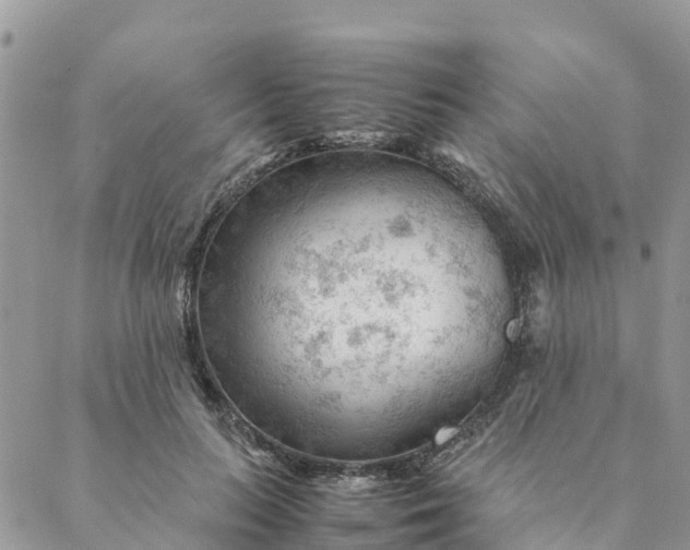 X0000087310647200705041650