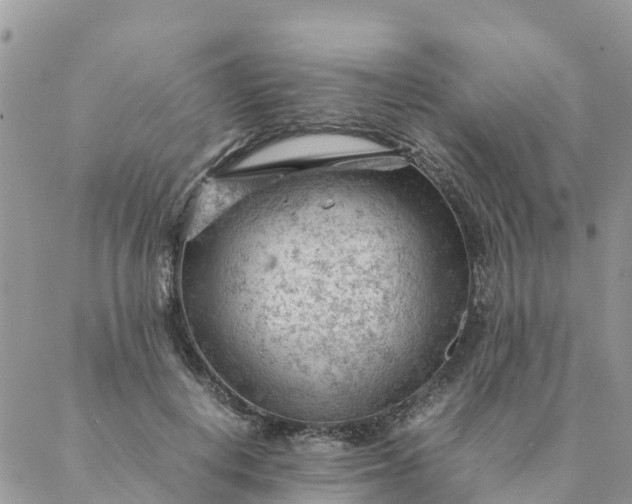 X0000087310648200705041650