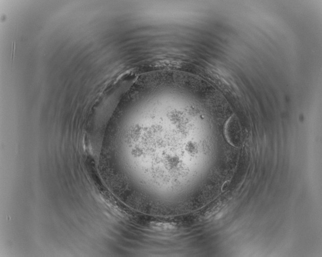 X0000087310649200705041650