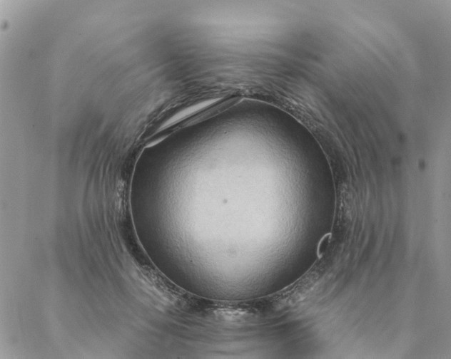 X0000087310650200705041650