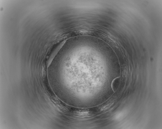 X0000087310651200705041650