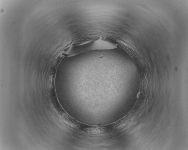 X0000087310652200705041650