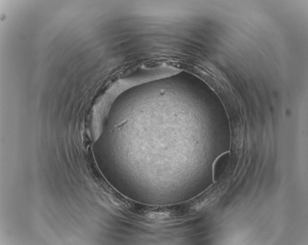 X0000087310653200705041650