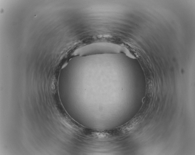 X0000087310654200705041650