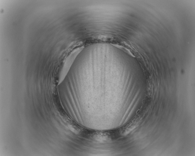 X0000087310656200705041650