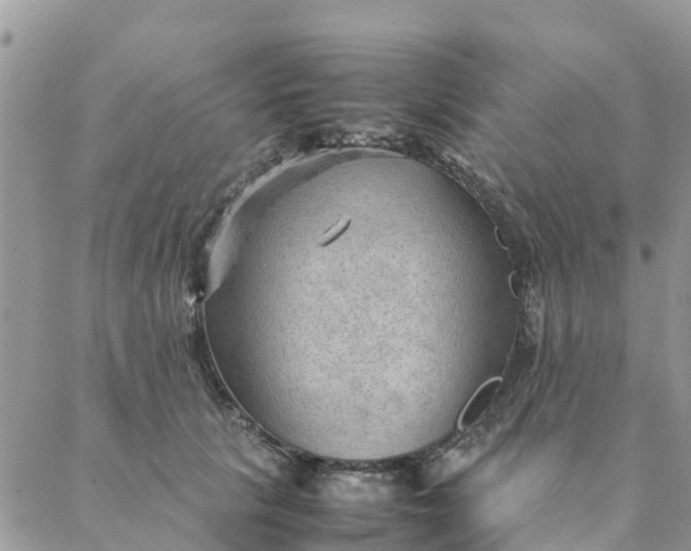 X0000087310657200705041650