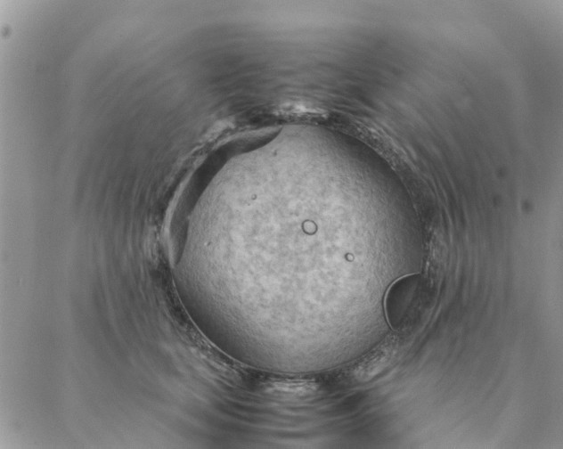 X0000087310659200705041651