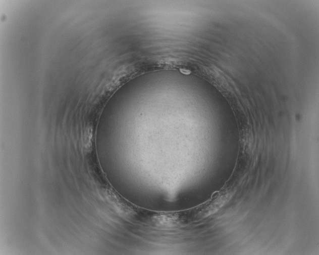 X0000087310660200705041651