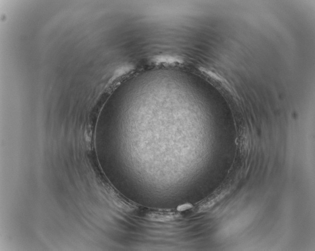 X0000087310661200705041651