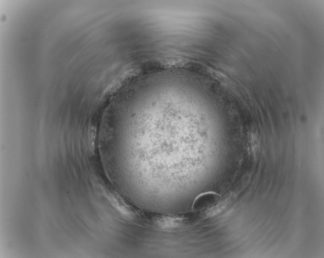 X0000087310664200705041651