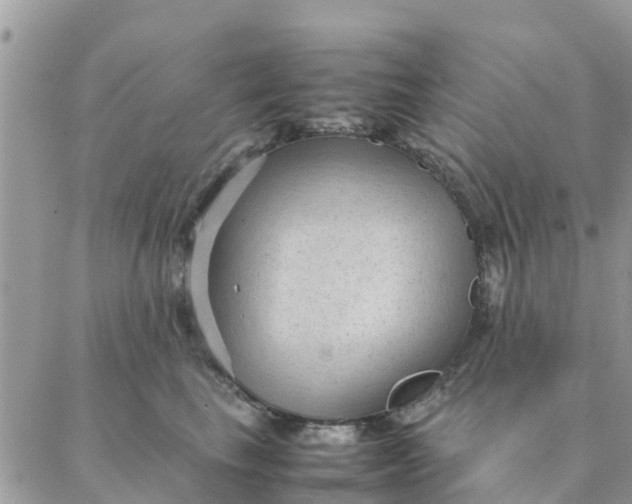 X0000087310665200705041651