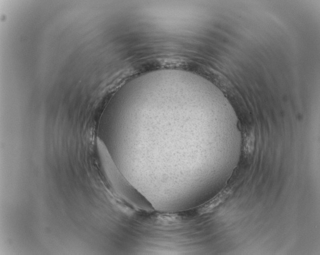 X0000087310666200705041651