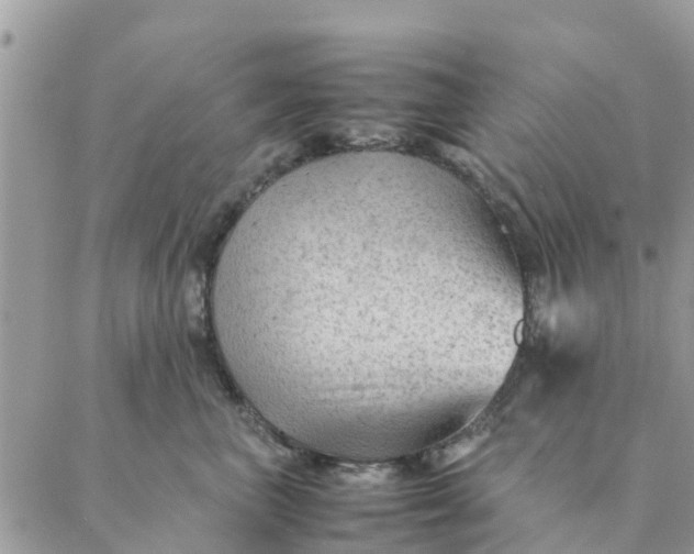 X0000087310667200705041651