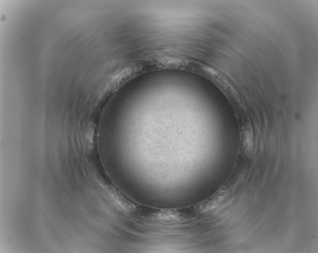 X0000087310668200705041651