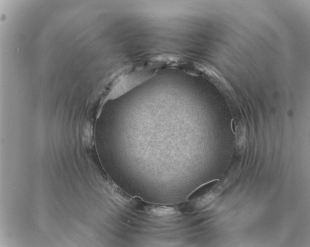 X0000087310669200705041651