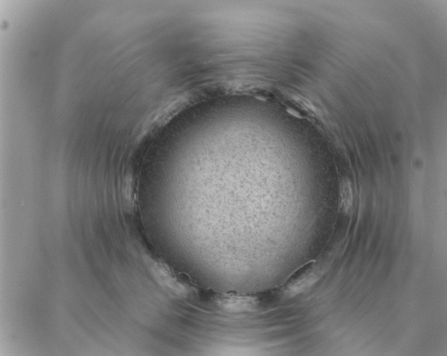 X0000087310670200705041651