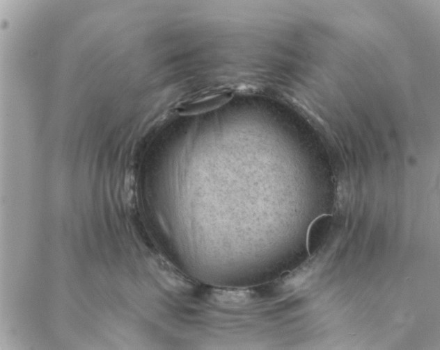 X0000087310671200705041651